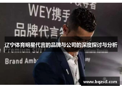 辽宁体育明星代言的品牌与公司的深度探讨与分析