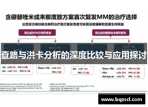 查路与洪卡分析的深度比较与应用探讨